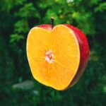 Apples+Oranges [LP] - トック・アンド・トーン（TOCK+TONE）