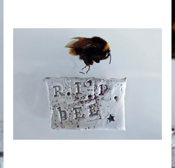 R.I.P. BEEP EP (EP) - ドランク・アストロノマー(The Drunk Astronomer)