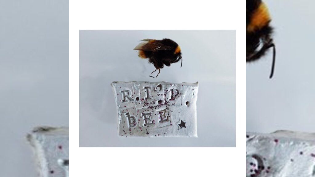 R.I.P. BEEP EP (EP) - ドランク・アストロノマー(The Drunk Astronomer)